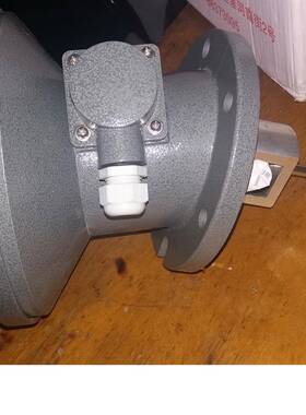 YZF2-250变压器油位计