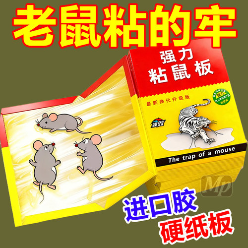 强力粘鼠板家用捕鼠灭鼠神器