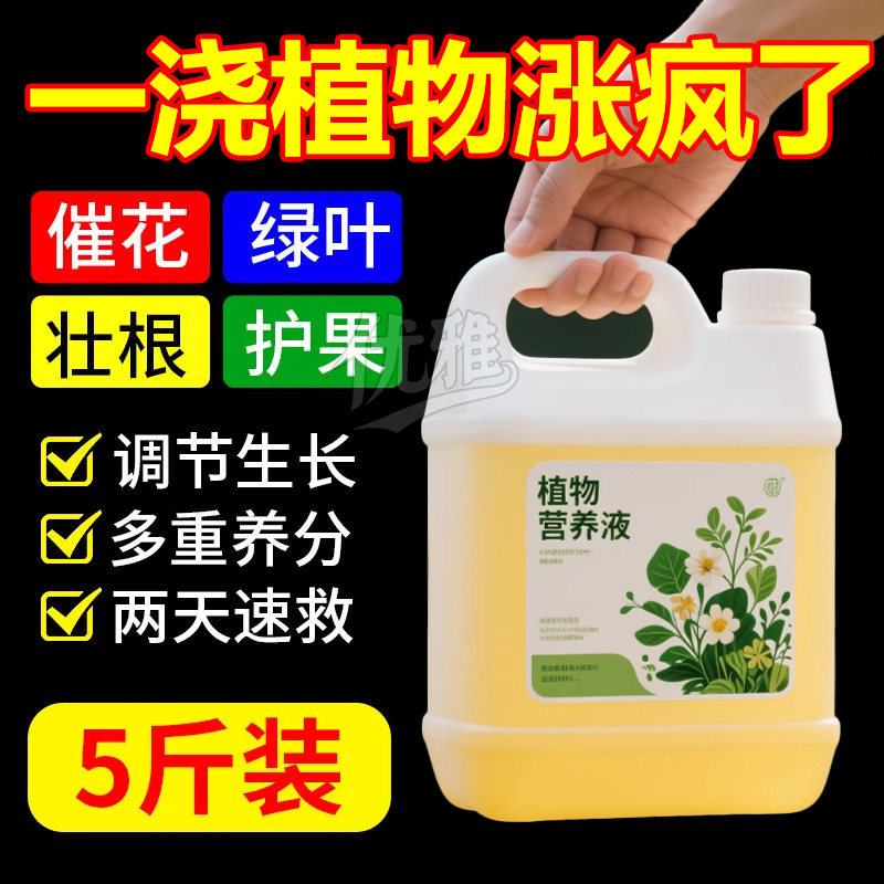 营养液植物通用型绿萝富贵竹发财树多肉水培养花卉绿植盆栽花肥料