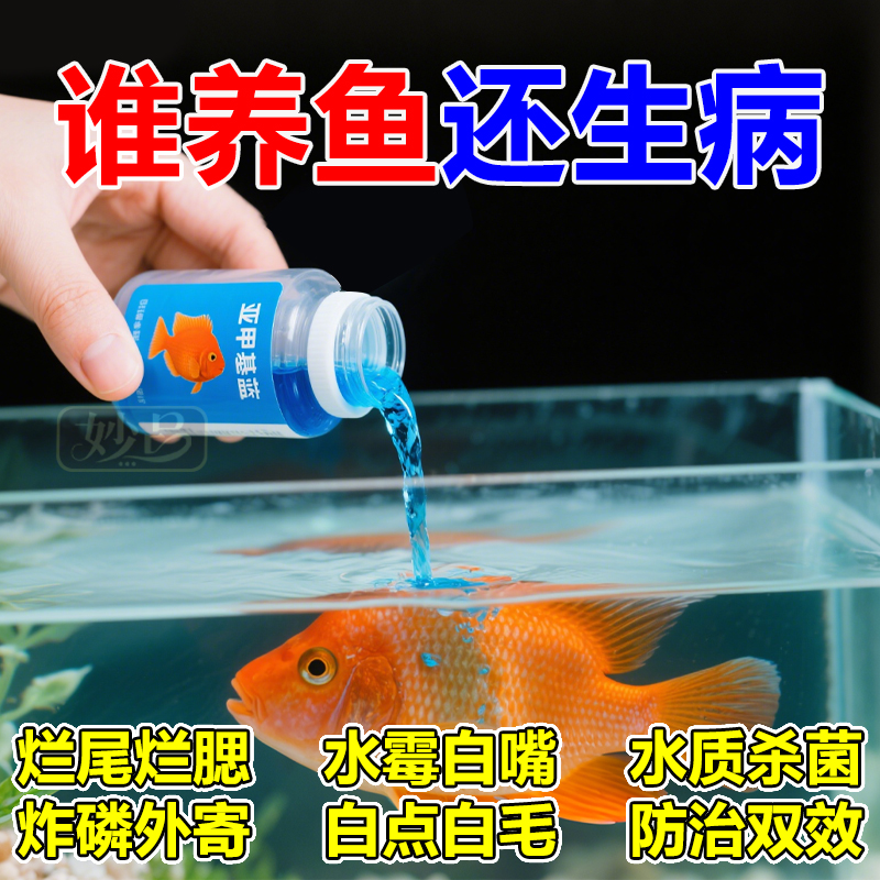 亚甲基蓝鱼缸烂尾专用杀菌