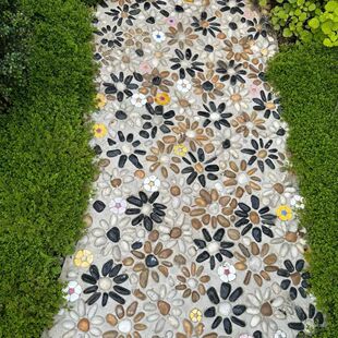 五彩黄色鹅卵石抛光50斤铺路庭院园林水培彩色石子白色纯天然黑色