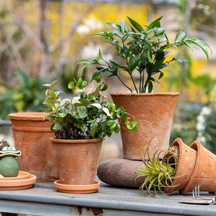 红陶花盆粗陶土透气陶瓷盆泥瓦盆家用托盘多肉户外庭院特价包邮