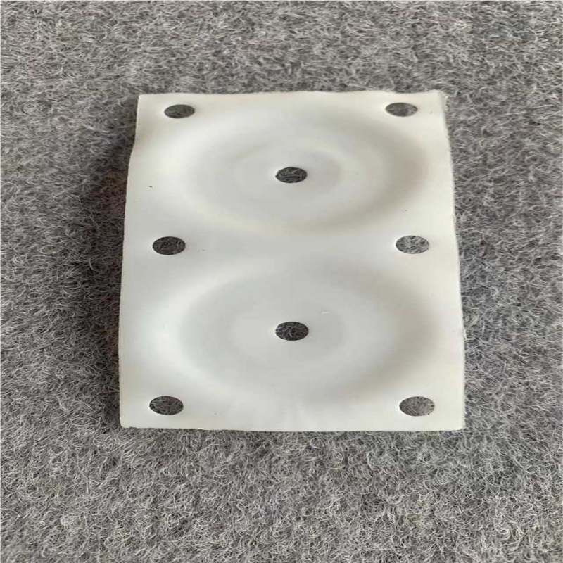 SYSTEC真空泵隔膜片，特氟龙隔膜片抽气泵耐腐蚀耐酸碱隔膜片