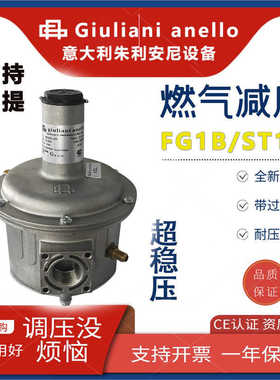 FG1B朱丽安尼giulianianello燃气减压阀天然气调压低压稳压阀