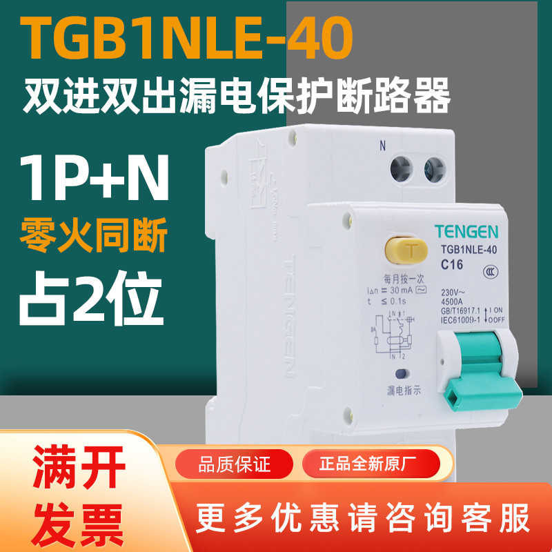 TENN 天正TGB1NLE-40双进双出空气开关漏电保护器DPN20A32A家用