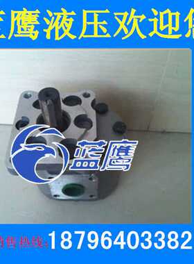 CBN/CBT-E520/E525/E528/E532/E540/E550/E563/E580齿轮泵BFPHL