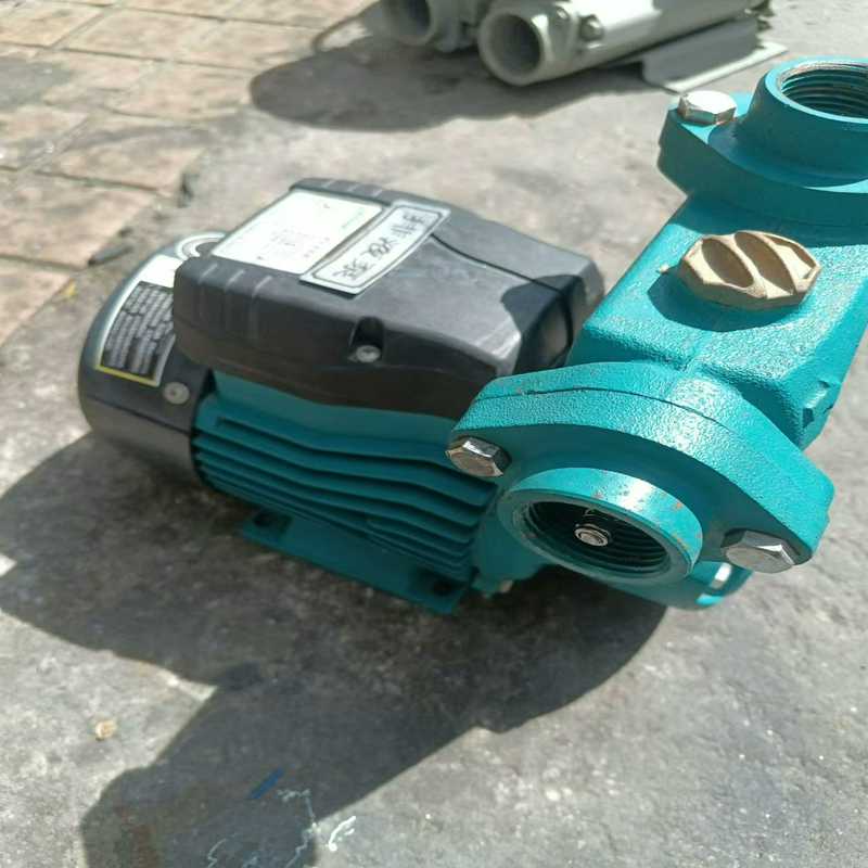 利欧自吸泵单相220v075kw实物如图数据如图所（基数电子）