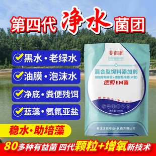 速腾EM菌 水产增氧型EM芽孢菌种含量高活性强扩散快有益菌厂家