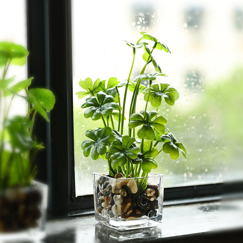 北欧绿植小盆栽仿真植物多肉假花装饰摆件客厅摆设办公室桌面