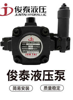JUNTAI俊泰液压HVPF-30-D HVP-40F/A3 30F/A1 A2中压变量叶片
