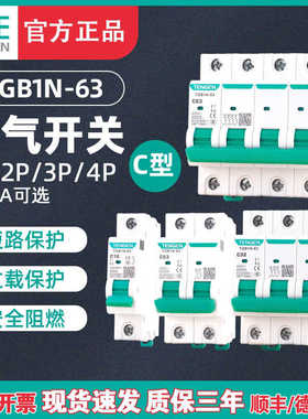 TENN天正TGB1N-63空气开关DZ47小型断路器1P2P3P32A电闸63A家用