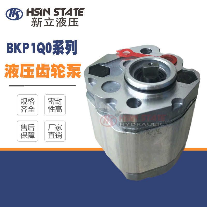 Boden齿轮泵BKP1Q0S3.2G0L1-B/S5.8/D8.0/S1.1/D3.2/S4.8G0L1-B