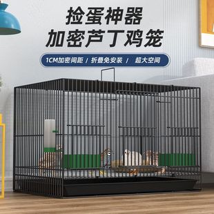 室外养鸡专用笼芦丁鸡专用养殖笼子家用加密大号芦丁鸡铁丝笼小鸡