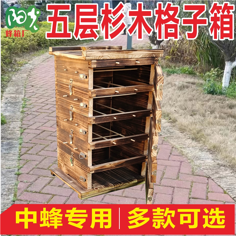 中蜂格子箱杉木煮蜡蜂箱加厚全套土养蜜蜂箱诱蜂桶方格子养蜂