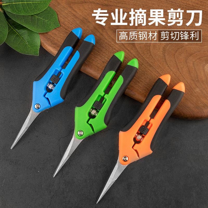 摘果剪强力修枝剪子园林稀果花艺剪葡萄水果专用剪刀蔬果采摘剪子
