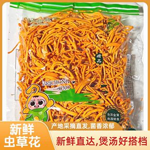 六大队农产新店浮力新鲜虫0草花净重孢子头鲜冬虫0草新鲜虫0草花