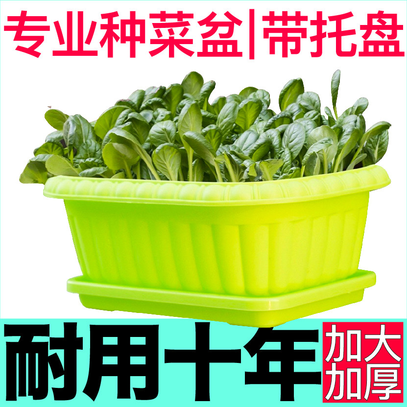 专业阳台种菜盆耐用十年带托盘加厚环保塑料室内外蔬菜盆栽土培盆