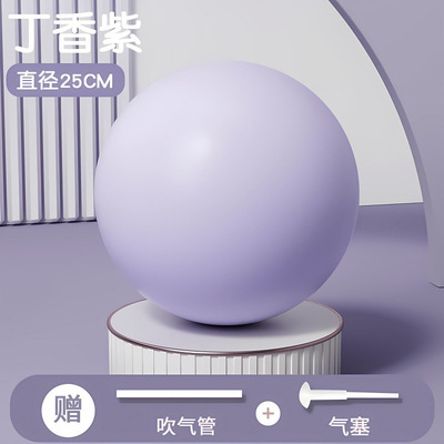 普拉提小球瑜伽球盆底肌小球训练加厚防爆健身平衡瑜伽球Y02