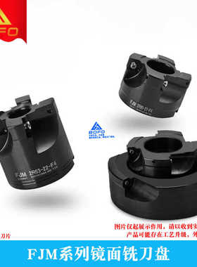 黛杰款镜面精铣刀盘 FJM 63/80/100/120/125/160/200 装SDHW15