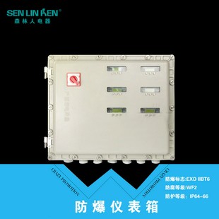 防爆防暴仪表弱电箱碳钢仪表箱厂家直供耐用防水防静电控制箱