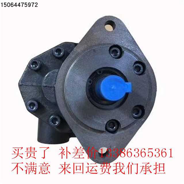 液压油泵 齿轮泵 CBFC-16 CBFC-25 CBFC-32 CBFC-20 CBFC-40 50