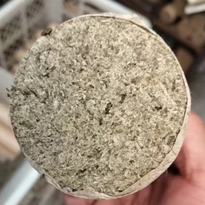 石臼艾条，三年野生艾草