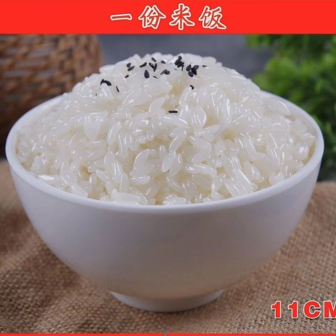 米饭仿真模型食模型食物模型假菜道具拍戏道具表演拍摄道具