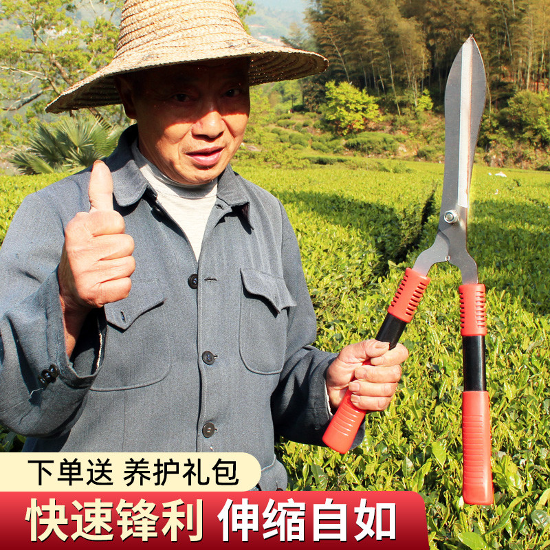 花剪园艺剪刀修剪树枝园林工具家用茶叶花草大枝剪草坪绿化修枝剪