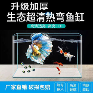 2025新款加厚热弯玻璃鱼缸长方型办公桌面水族箱生态造景龟金
