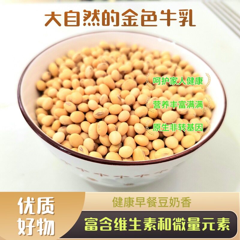 安徽特产浍南湾精选小黄豆 金色牛乳高蛋白 自然晒干当季新货