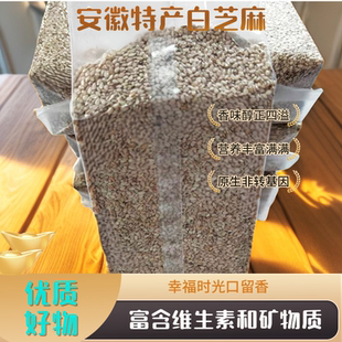 安徽特产浍南湾精选白芝麻  香味浓郁