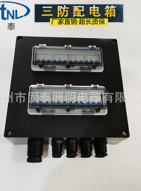 FXM(D)8050-S-6K/32A三防配电箱 防水防尘防腐照明配电箱控制箱