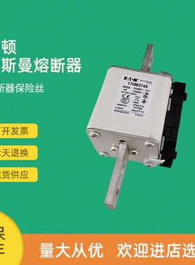 全新快速熔断器e保险170M5732 170M5733 170M5734 170M5735