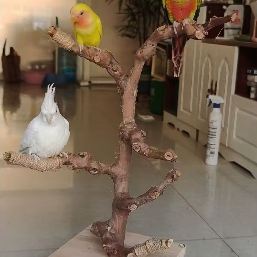 鹦鹉葡萄木站杆玄凤鸟站杠磨爪棒磨嘴磨牙棒站棍站台鸟具首饰品架