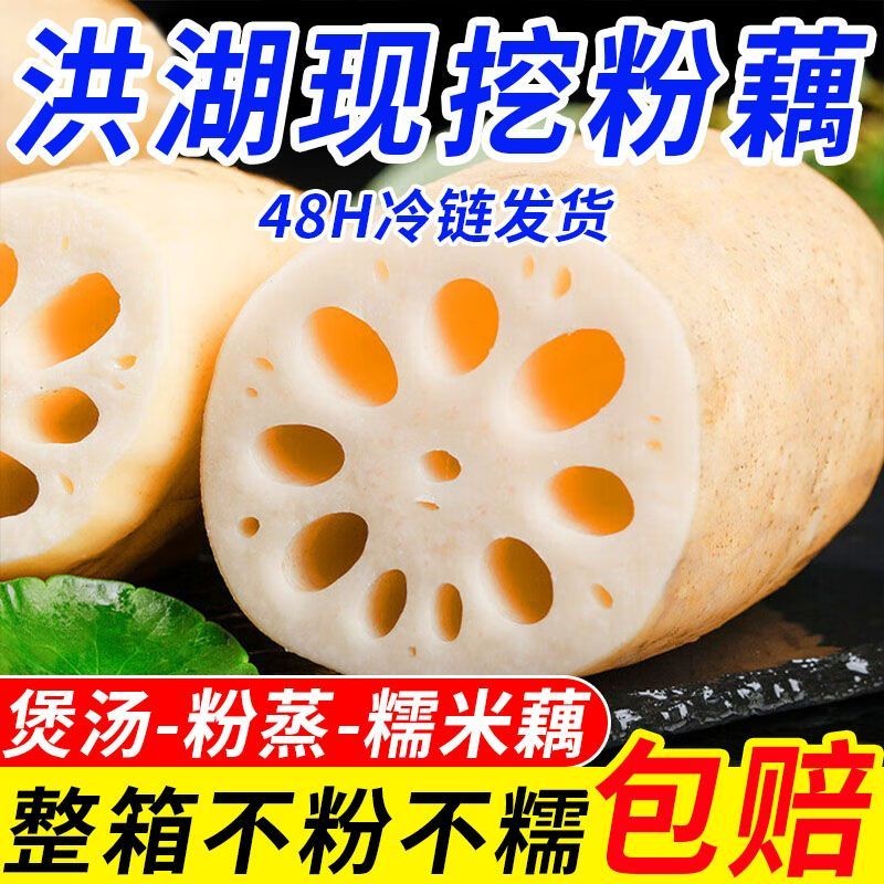 粉爆了湖北洪湖今年新粉藕莲藕煲汤专用农家当季新鲜整箱