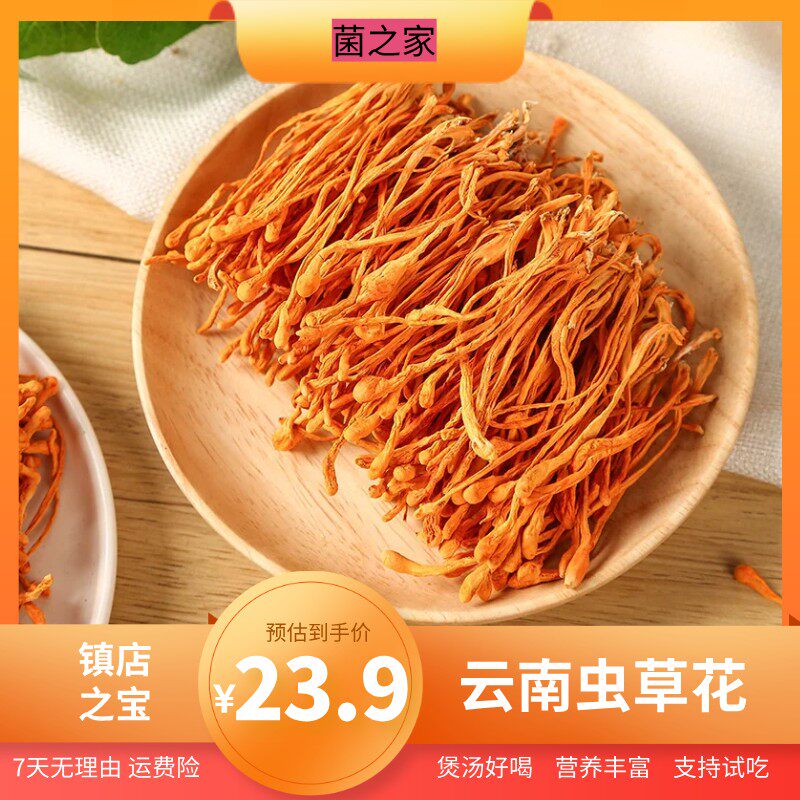 云南深山虫草花干货香味圆润适合炖鸡煲汤