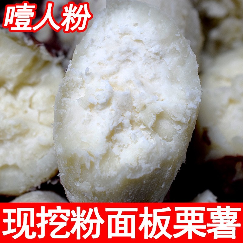 新鲜现挖河南红皮白心板栗红薯白瓤地瓜粉面老品种白薯1/香甜香糯
