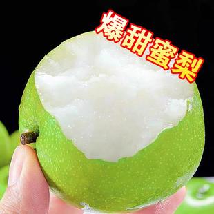砀山青皮梨蜜梨脆甜无渣汁水新鲜水果梨砀山脆甜梨脆甜多汁皮薄