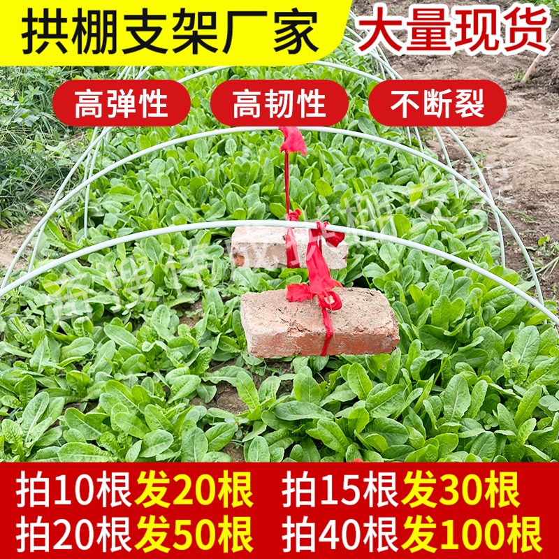 【小拱棚支架】农用菜地育苗棚保温棚爬藤支架玻璃纤维杆黄瓜茄子