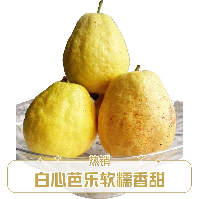 正宗广西白心奶油番石榴软糯香甜产地直发应季新鲜水果芭乐水果