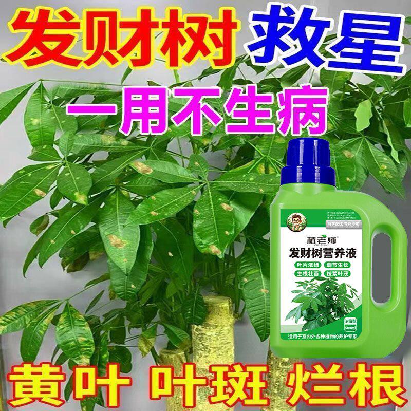 发财树专用浓缩营养液家用绿叶植物盆栽养花防黄叶通用液体有机肥