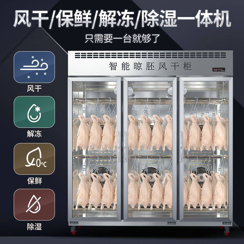 创雪风干柜晾鸭柜烤鸭烤鸡烧鸭烧鹅食品晾胚柜单门烘干风干机商用