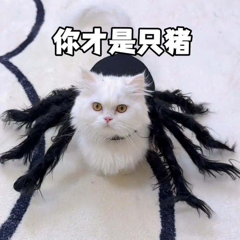 宠物cos蜘蛛衣服狗狗猫咪创意搞怪变身派对装扮恐怖仿真毛绒蜘蛛