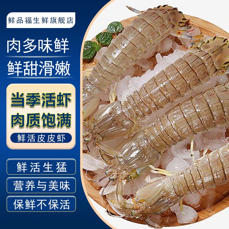 纯野生皮皮虾「12-16只 500g」冲氧活发保鲜保肥不保活海捕