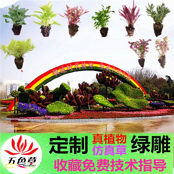 设计制作国庆节立体花坛五色草造型大型仿真植物绿雕中秋节菊花展