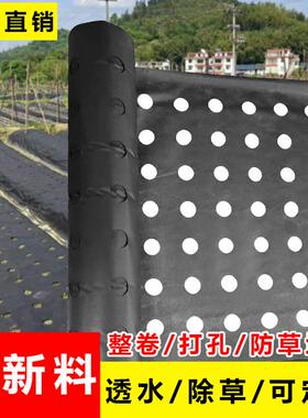 打孔防草布专用防草透水透气保湿黑色盖草布遮草布地膜渗水黑色