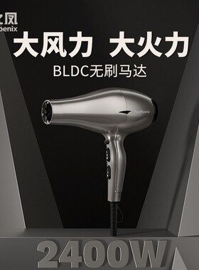 火之凤吹风机6600H发型师专用发廊理发店家用大功率大风力风筒