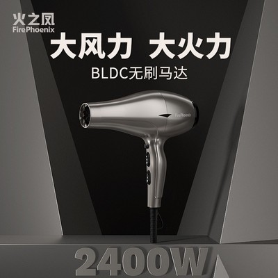 火之凤吹风机6600H发型师专用发廊理发店家用大功率大风力风筒