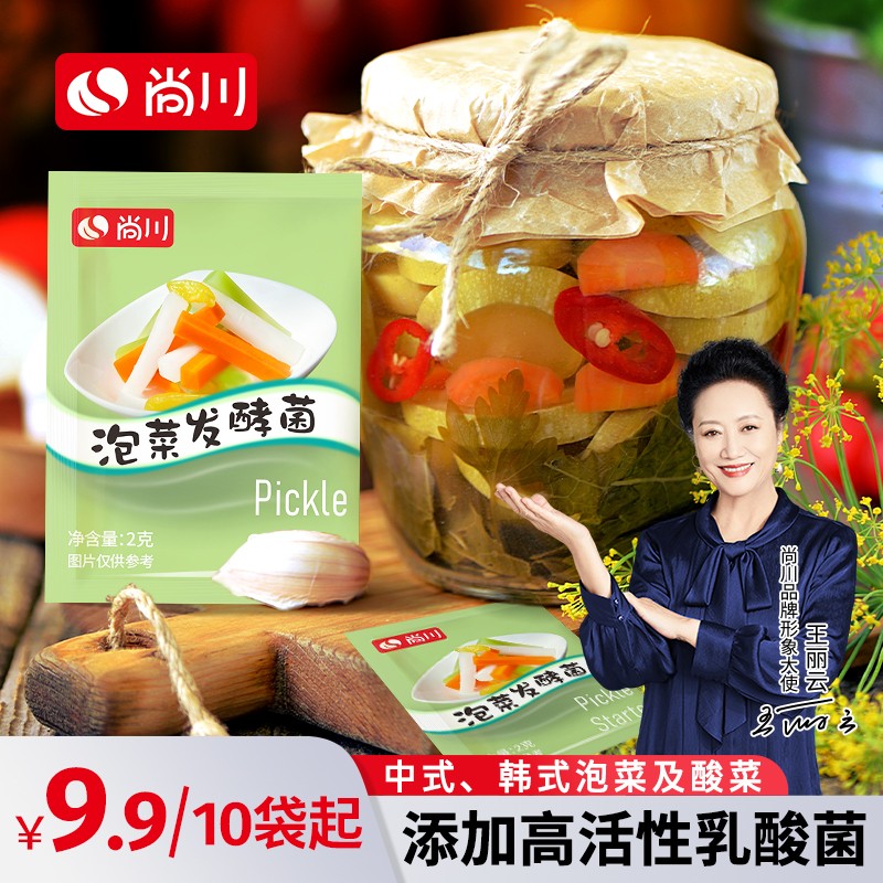 尚川乳酸菌粉家用自制酸菜韩式东北四川泡菜发酵菌1g小包
