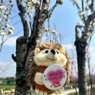 赵雷刺猬玩偶背包挂件周边程艾影永远像初次见你那样使我心荡漾